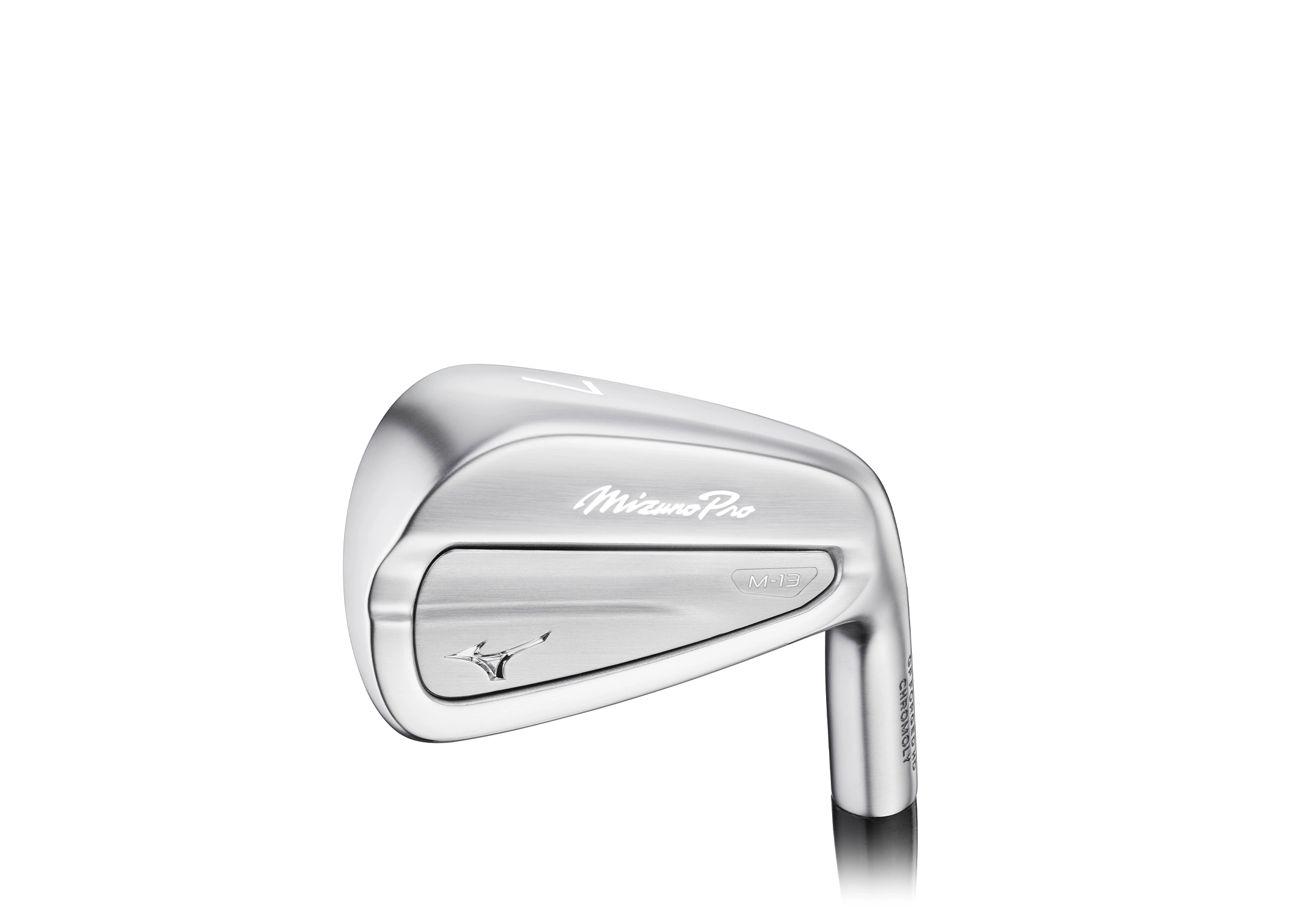 Mizuno Pro M-13